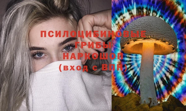 a pvp Осинники