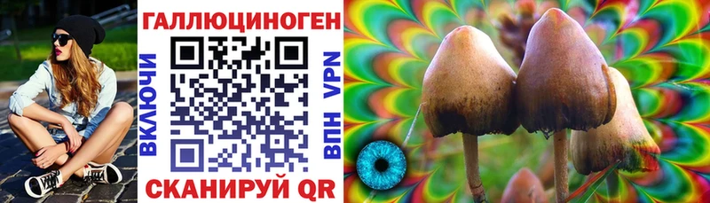 Псилоцибиновые грибы MAGIC MUSHROOMS  Унеча 