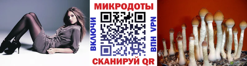 Галлюциногенные грибы Psilocybe Унеча